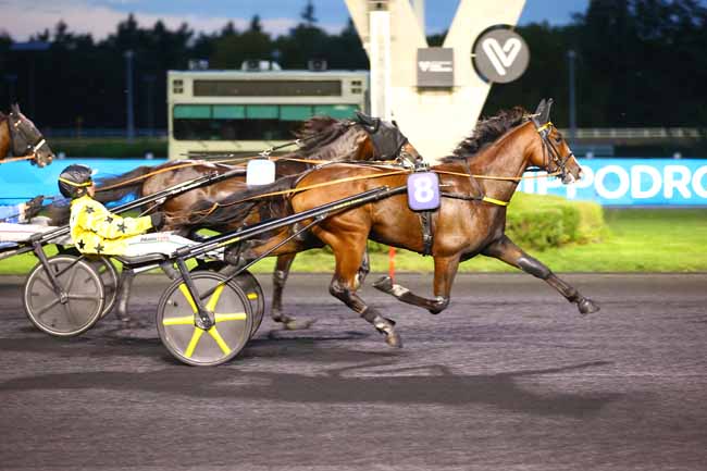 Photo d'arrivée de la course pmu PRIX CENTAURUS à PARIS-VINCENNES le Mardi 16 septembre 2025