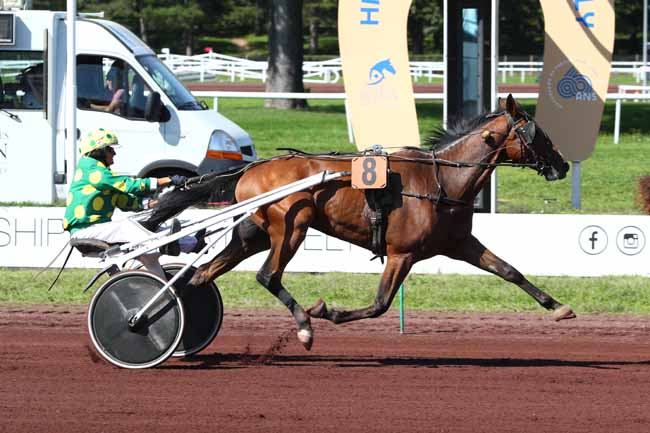Photo d'arrivée de la course pmu PRIX DE TOULOUSE à LYON PARILLY le Mercredi 17 septembre 2025