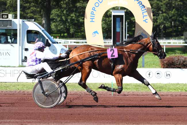 Photo d'arrivée de la course pmu MFR DU FOREZ - PRIX DE BEAUMONT-DE-LOMAGNE à LYON PARILLY le Mercredi 17 septembre 2025