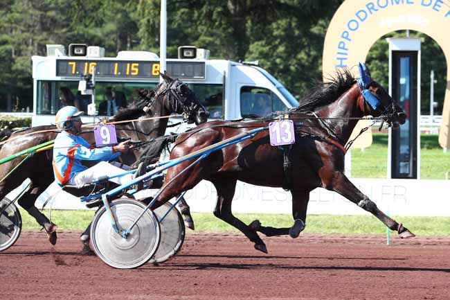 Photo d'arrivée de la course pmu PRIX DU CROISE-LAROCHE à LYON PARILLY le Mercredi 17 septembre 2025