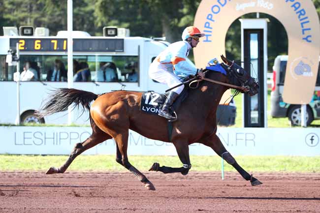 Photo d'arrivée de la course pmu PRIX DE MAUQUENCHY à LYON PARILLY le Mercredi 17 septembre 2025