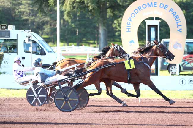 Photo d'arrivée de la course pmu PRIX DE GROSBOIS à LYON PARILLY le Mercredi 17 septembre 2025