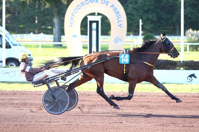 Photo d'arrivée de la course pmu PRIX D'ENGHIEN à LYON PARILLY le Mercredi 17 septembre 2025