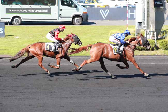 Photo d'arrivée de la course pmu PRIX DE GAP à PARIS-VINCENNES le Jeudi 18 septembre 2025