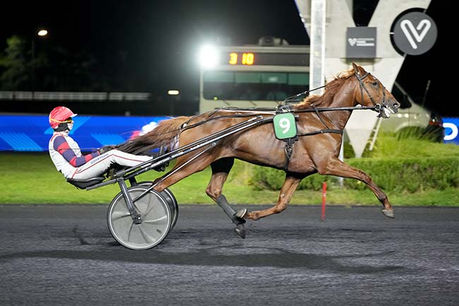 Photo d'arrivée de la course pmu PRIX DU CONSEIL REGIONAL DE LA BRETAGNE à PARIS-VINCENNES le Vendredi 19 septembre 2025