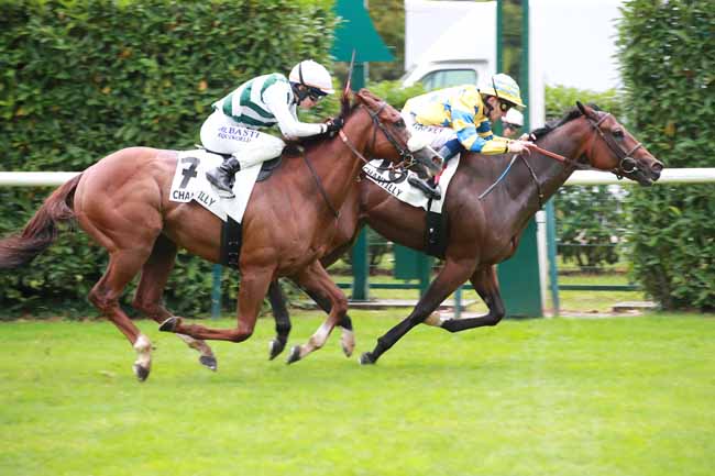 Arrivée quinté pmu PRIX DU CABINET DES LIVRES à CHANTILLY