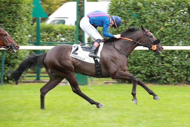 Photo d'arrivée de la course pmu PRIX DE LA GALERIE DE LA PEINTURE à CHANTILLY le Samedi 20 septembre 2025