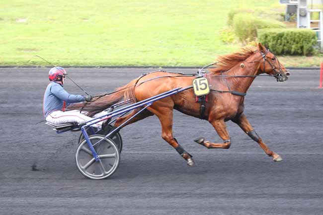 Arrivée quinté pmu PRIX DE TAVERNY à PARIS-VINCENNES