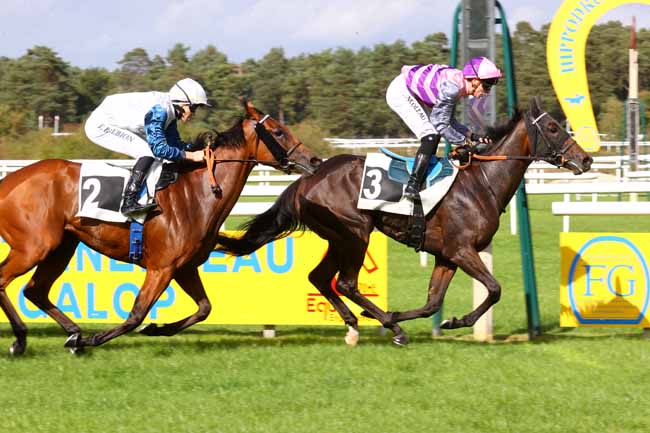 Photo d'arrivée de la course pmu PRIX DES ANIMATIONS PMU (PRIX DES CERFS) à FONTAINEBLEAU le Dimanche 21 septembre 2025