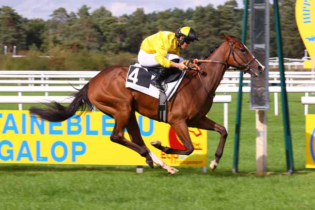 Photo d'arrivée de la course pmu PRIX MERCEDES-BENZ GROUPE AUTOSPHERE (PRIX DE LA TABLE DU GRAND MAITRE) à FONTAINEBLEAU le Dimanche 21 septembre 2025