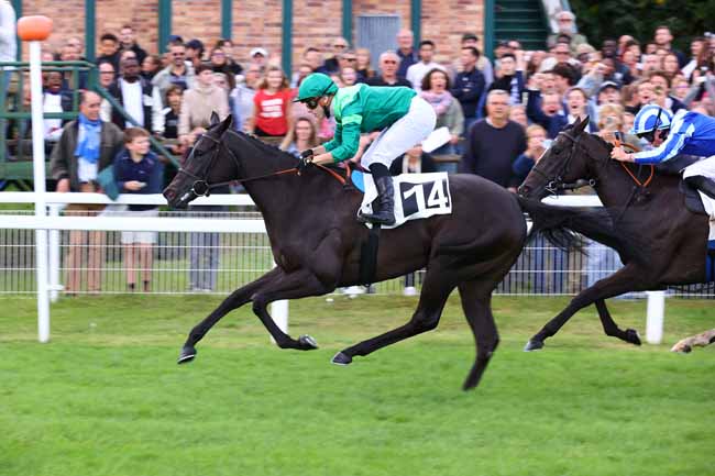 Photo d'arrivée de la course pmu PRIX LABEL EQUURES à FONTAINEBLEAU le Dimanche 21 septembre 2025