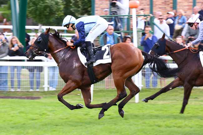 Photo d'arrivée de la course pmu PRIX RADIO EVASION (PRIX DE LA GROTTE AUX CRISTAUX) à FONTAINEBLEAU le Dimanche 21 septembre 2025