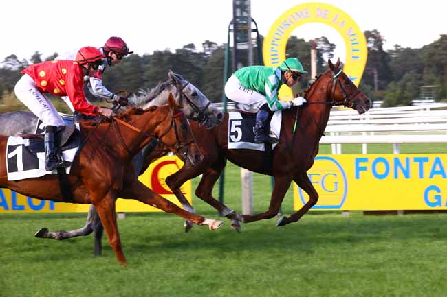 Photo d'arrivée de la course pmu PRIX DUC D'ALBUQUERQUE - HANDICAP CHALLENGE à FONTAINEBLEAU le Dimanche 21 septembre 2025