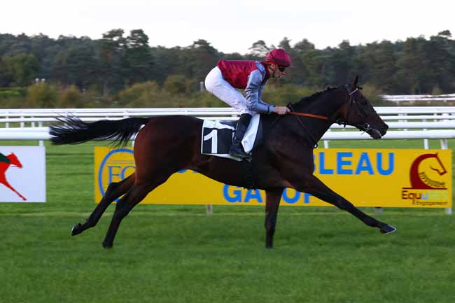Photo d'arrivée de la course pmu PRIX PHILIPPE LORAIN (CHAMPIONNAT 