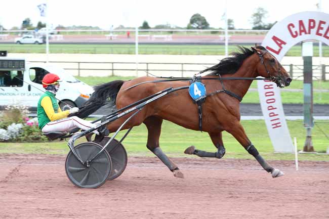 Photo d'arrivée de la course pmu PRIX OFFICE TOURISME PAYS DE THIERACHE (PRIX DE SAINT-OMER) à LA CAPELLE le Lundi 22 septembre 2025