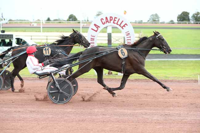 Photo d'arrivée de la course pmu PRIX PMU+ (PRIX DU TOUQUET) à LA CAPELLE le Lundi 22 septembre 2025