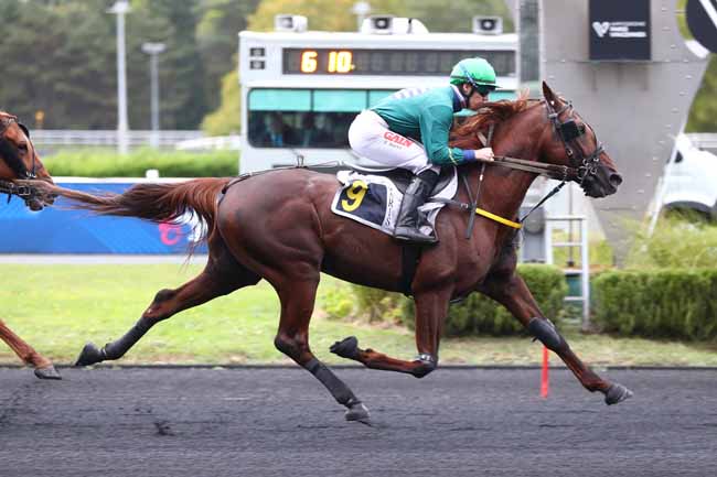 Photo d'arrivée de la course pmu PRIX DE GIMONT à PARIS-VINCENNES le Mardi 23 septembre 2025