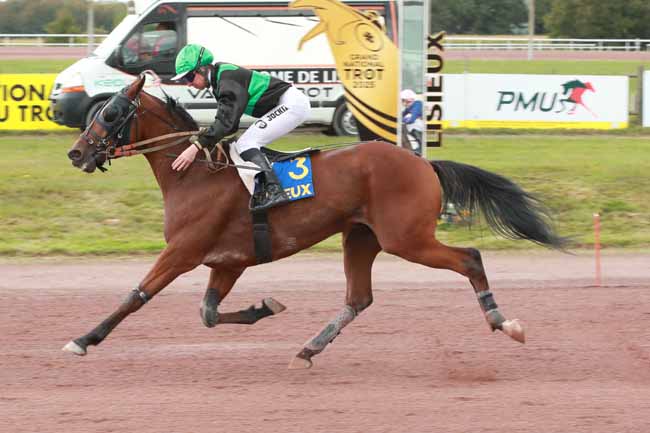 Photo d'arrivée de la course pmu PRIX DES GLOIRES DU GALOP à LISIEUX le Mercredi 24 septembre 2025