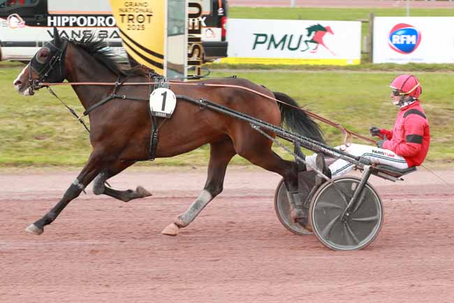 Photo d'arrivée de la course pmu PRIX DES LEGENDES DES PRONOSTIQUEURS 