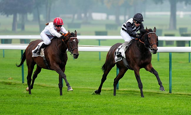 Photo d'arrivée de la course pmu PRIX DES DAUPHINES - TROPHEE STUDIO HARCOURT à COMPIEGNE le Mercredi 24 septembre 2025