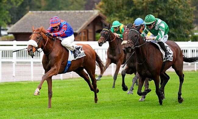 Photo d'arrivée de la course pmu PRIX DE BLERANCOURT à COMPIEGNE le Mercredi 24 septembre 2025