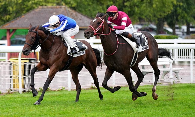 Photo d'arrivée de la course pmu PRIX DE BETHANCOURT-EN-VALOIS à COMPIEGNE le Mercredi 24 septembre 2025