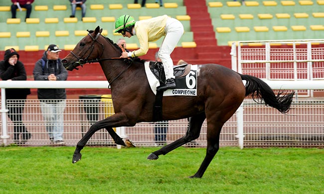 Photo d'arrivée de la course pmu PRIX DE VIGNEMONT à COMPIEGNE le Mercredi 24 septembre 2025
