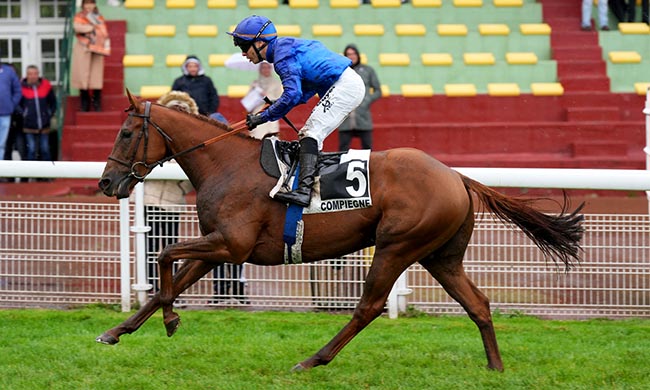Photo d'arrivée de la course pmu PRIX POGGIO RICCO à COMPIEGNE le Mercredi 24 septembre 2025