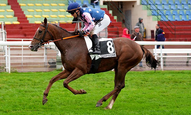 Photo d'arrivée de la course pmu PRIX DE CHOISY-AU-BAC à COMPIEGNE le Mercredi 24 septembre 2025