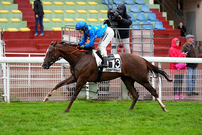 Photo d'arrivée de la course pmu PRIX DE LA BASSE AUTOMNE à COMPIEGNE le Mercredi 24 septembre 2025