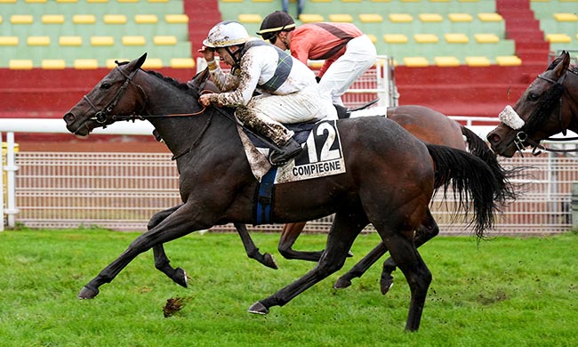 Photo d'arrivée de la course pmu PRIX DU VERMANDOIS à COMPIEGNE le Mercredi 24 septembre 2025