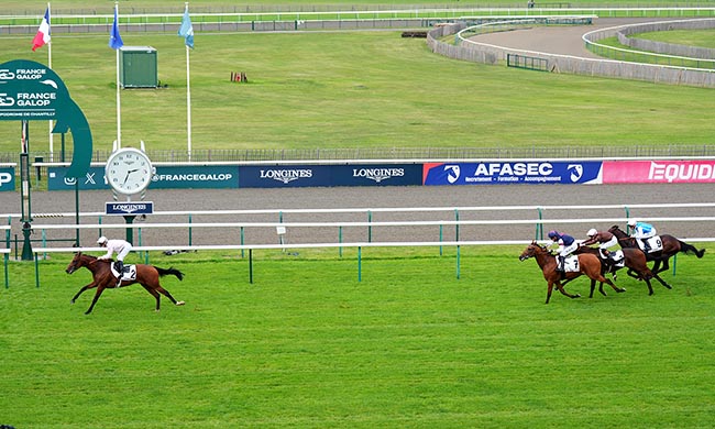 Photo d'arrivée de la course pmu PRIX DES TERRIERS DU HOUX à CHANTILLY le Jeudi 25 septembre 2025