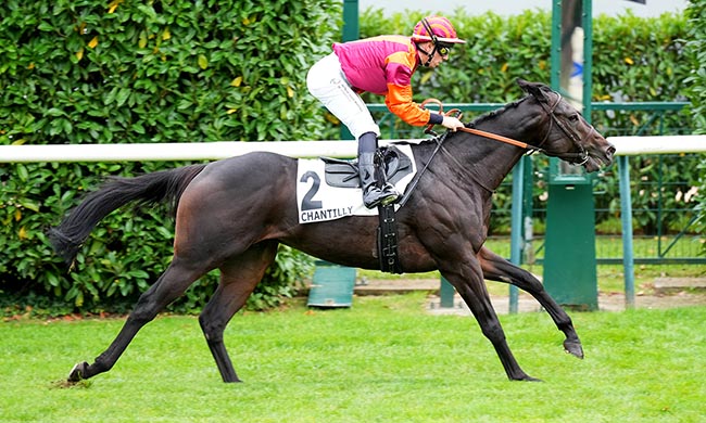 Photo d'arrivée de la course pmu PRIX DU CABINET DES GEMMES à CHANTILLY le Jeudi 25 septembre 2025
