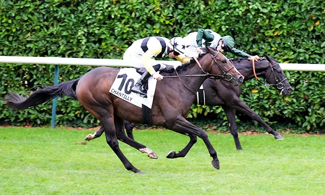 Photo d'arrivée de la course pmu PRIX DE LA MONTIGNETTE à CHANTILLY le Jeudi 25 septembre 2025