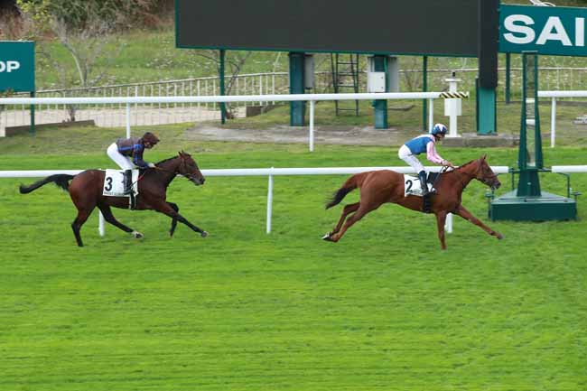 Photo d'arrivée de la course pmu PRIX ESMERALDA à SAINT CLOUD le Vendredi 26 septembre 2025
