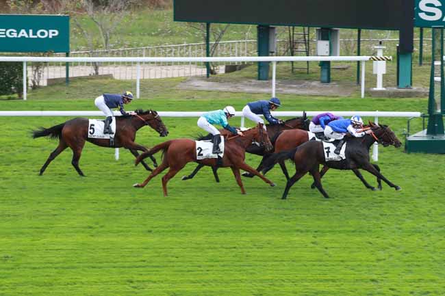 Photo d'arrivée de la course pmu PRIX DES TROIS ROSES D'ARGENT à SAINT CLOUD le Vendredi 26 septembre 2025