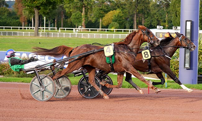 Photo d'arrivée de la course pmu PRIX DE JARNAC à ENGHIEN le Samedi 27 septembre 2025