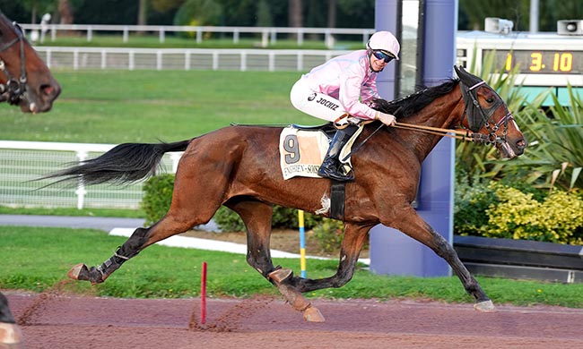 Photo d'arrivée de la course pmu PRIX DE THOMERY à ENGHIEN le Samedi 27 septembre 2025