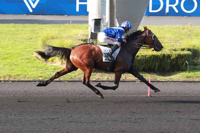 Photo d'arrivée de la course pmu PRIX D'ARLES à PARIS-VINCENNES le Dimanche 28 septembre 2025