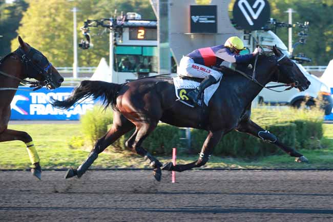 Photo d'arrivée de la course pmu PRIX JEAN MARY à PARIS-VINCENNES le Mardi 30 septembre 2025