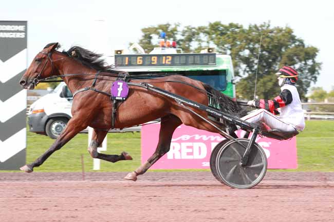 Arrivée quinté pmu GRAND PRIX ANJOU-MAINE à ANGERS