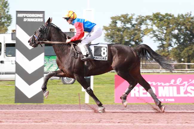 Photo d'arrivée de la course pmu PRIX REDS MILLS à ANGERS le Mercredi 1 octobre 2025