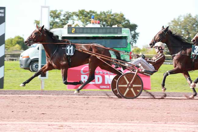 Photo d'arrivée de la course pmu PRIX DE L'HIPPODROME DE LAVAL à ANGERS le Mercredi 1 octobre 2025