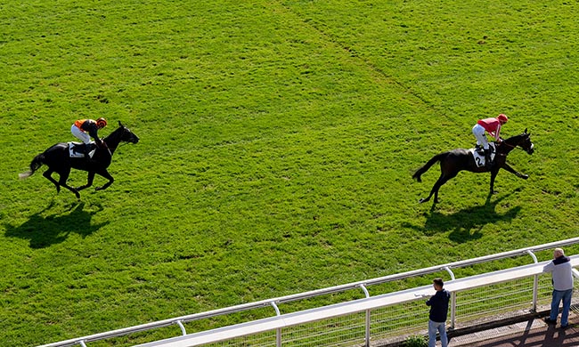 Photo d'arrivée de la course pmu PRIX VIVIENNE à AUTEUIL le Mercredi 1 octobre 2025