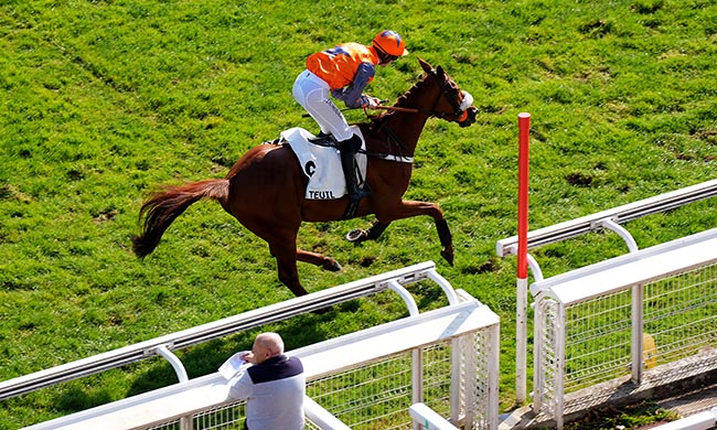 Photo d'arrivée de la course pmu PRIX PRIDE OF KILDARE à AUTEUIL le Mercredi 1 octobre 2025