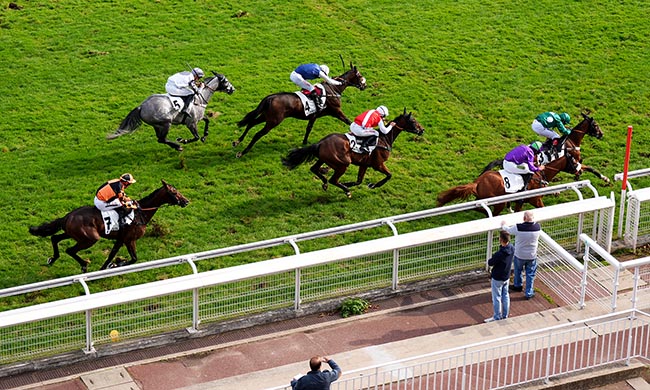 Photo d'arrivée de la course pmu PRIX ROYAL JUNIOR à AUTEUIL le Mercredi 1 octobre 2025