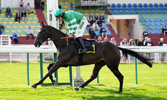 Photo d'arrivée de la course pmu PRIX DANIEL MERLE à COMPIEGNE le Jeudi 2 octobre 2025