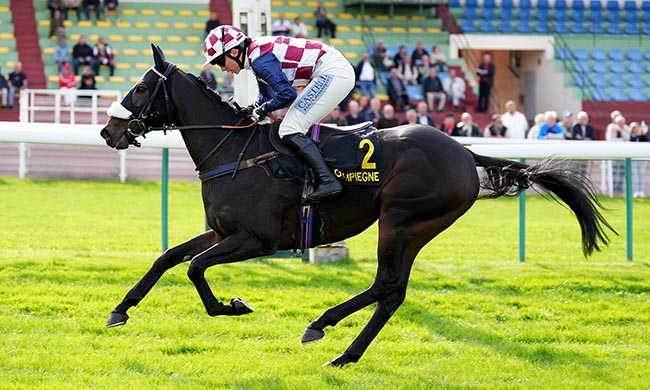 Photo d'arrivée de la course pmu PRIX DE SALERS à COMPIEGNE le Jeudi 2 octobre 2025