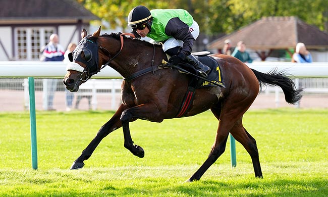 Photo d'arrivée de la course pmu PRIX BUCHEUR à COMPIEGNE le Jeudi 2 octobre 2025