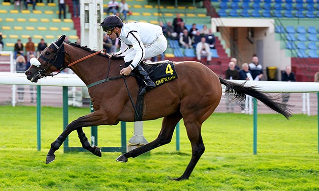 Photo d'arrivée de la course pmu PRIX DE LA GASCOGNE à COMPIEGNE le Jeudi 2 octobre 2025